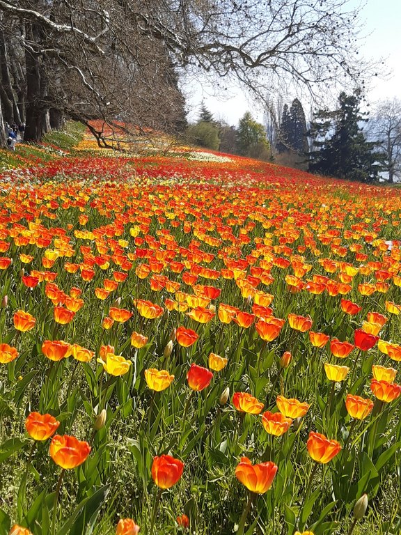 small_20250411_124849.jpg  