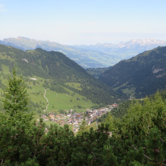 IMG_3882.JPG