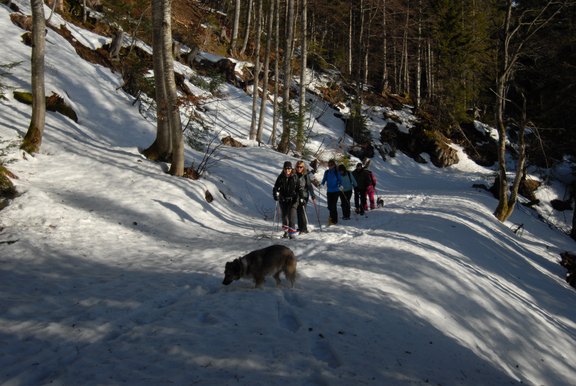 DSC_0423.JPG  