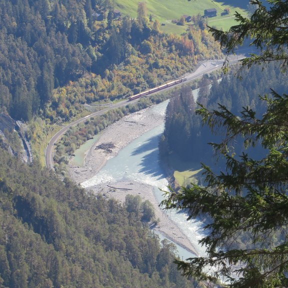 IMG_4403.JPG