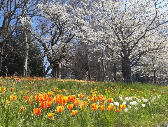 small_20250411_124441.jpg  