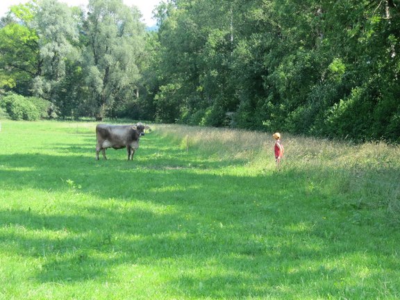 Ruggellerriet-18.jpg  