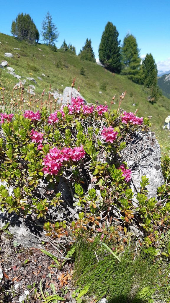 Nationalpark_small.jpg  