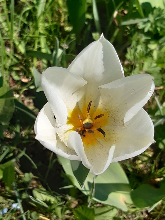 small_20250411_125744.jpg  