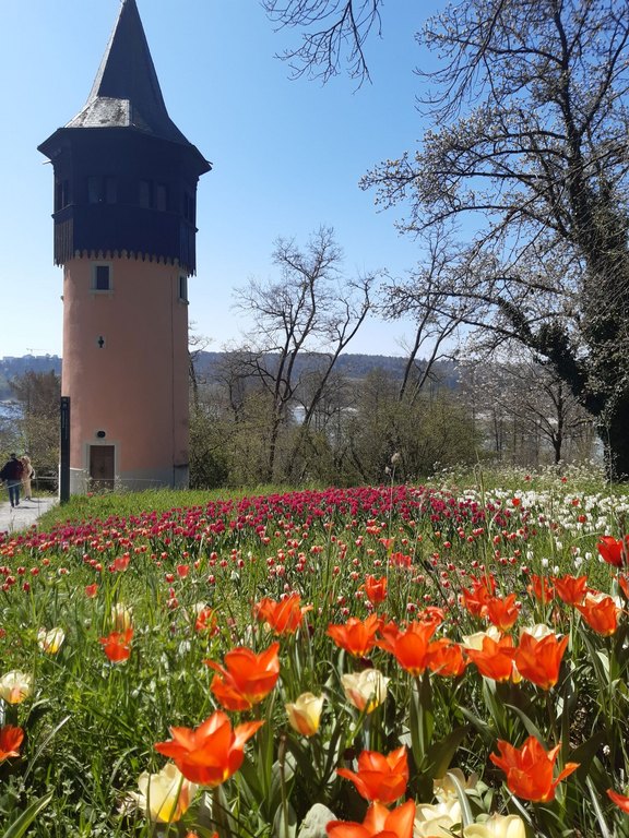 small_20250411_125047.jpg  
