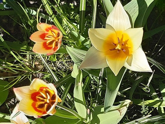 small_20250411_125208.jpg  