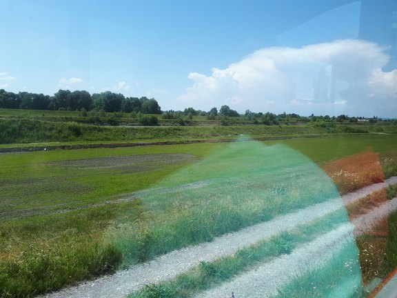 20170615_151257.jpg  