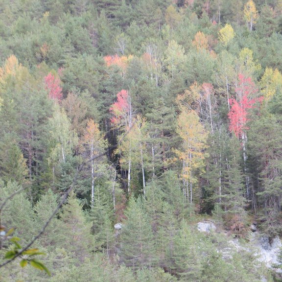 IMG_4400.JPG