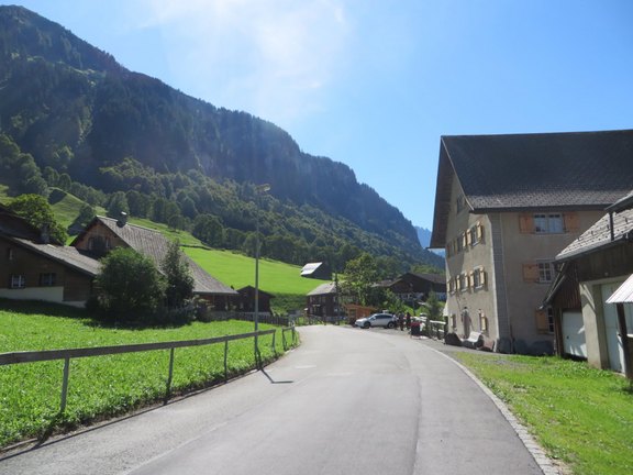 Weisstannen_3.JPG  